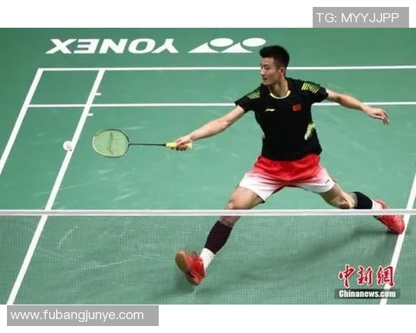 南京羽毛球队在全国锦标赛中的个人能力分析与表现评估